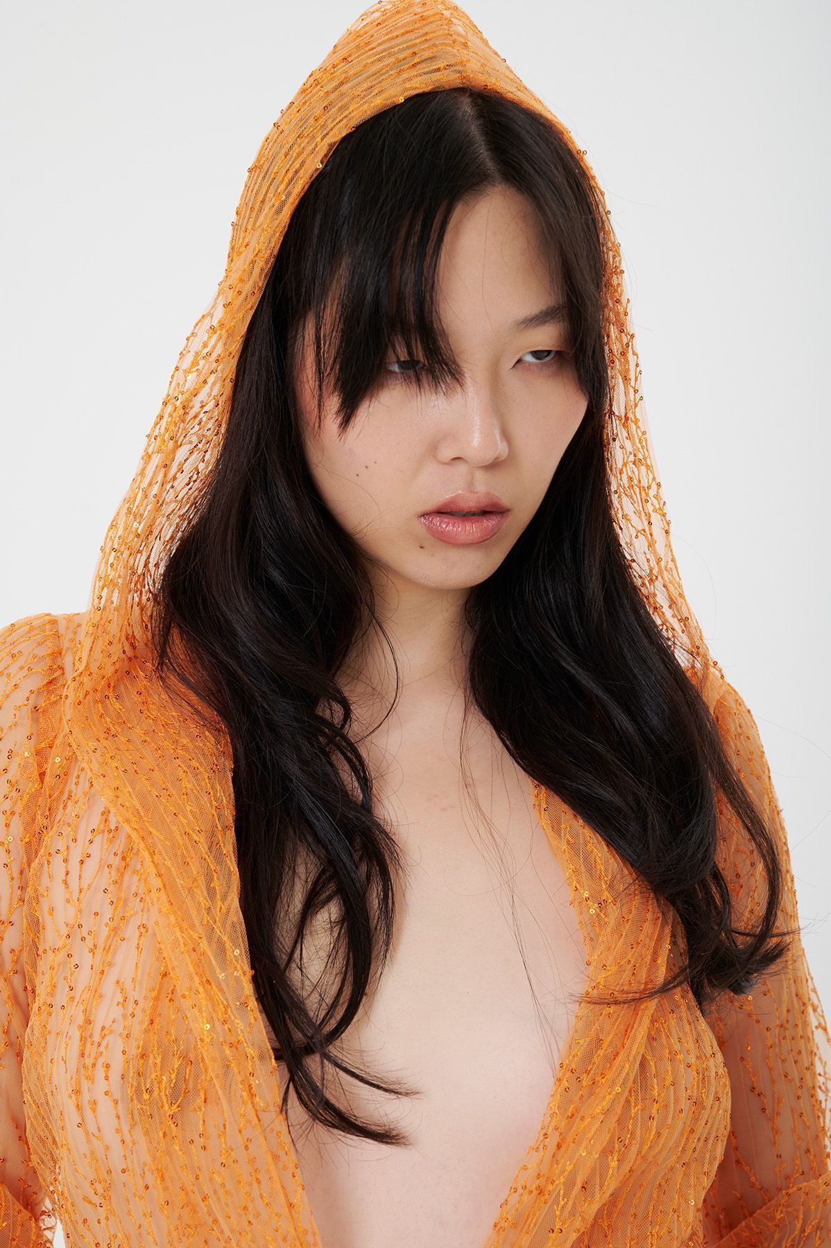 hood-2
